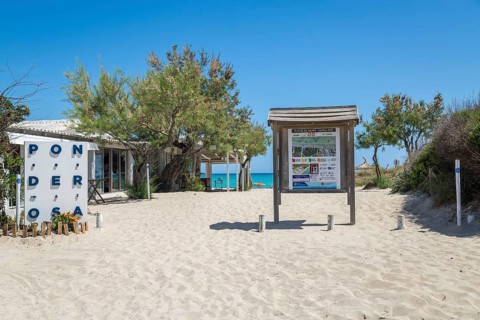 Sandy beach beach Playa de Muro, left beach bar Chiringuito Ponderosa Beach