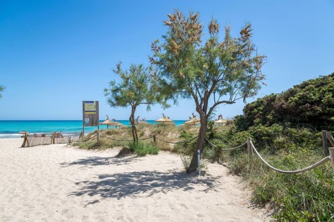 Sandy beach beach Playa de Muro, Can Picafort