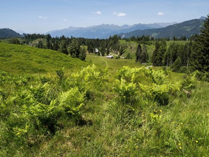Managed alpine hut on the Naggler Alm, near Techendorf