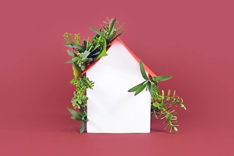 Energy efficiency and carbon neutrality in buildings concept with house with leaves,