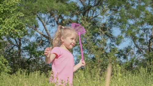 Little girl plays with butterfly net of tall grass in city park. Cute little girl is playing with aerial insect net in meadow on sun day. Odessa, Ukraine