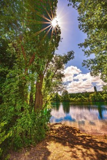 Sun star on a deciduous tree at the gravel pond in summer in Lohnde, Seelze
