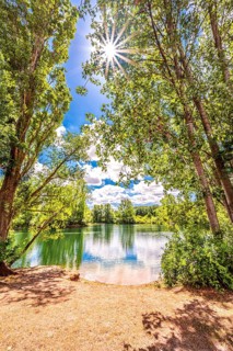 Sun star on a deciduous tree at the gravel pond in summer in Lohnde, Seelze