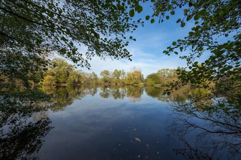 Lake Moenchbruchweiher in autumn, Nature Reserve