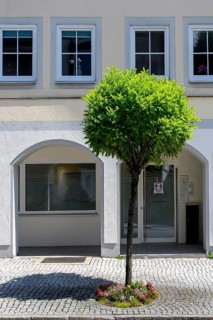 Facade and pavement with flowers and ornamental trees, Nesselwang