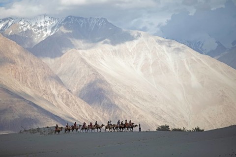 Riders on Bactrian camels in the Nubra Sand Dunes, Leh District