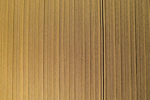 Aerial view of plowed agricultural field ready for planting,