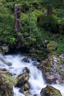 Torrent in Hartelsgraben, Gesaeuse National Park