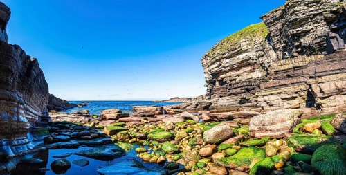 Cliffs over Puffin Cove, Drumhollistan