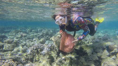 Woman in diving equipment swims and collects plastic debris underwater on the bottom of coral reef. Snorkeler cleaning Ocean from plastic pollution. Plastic pollution of the Ocean. Red sea, Egypt
