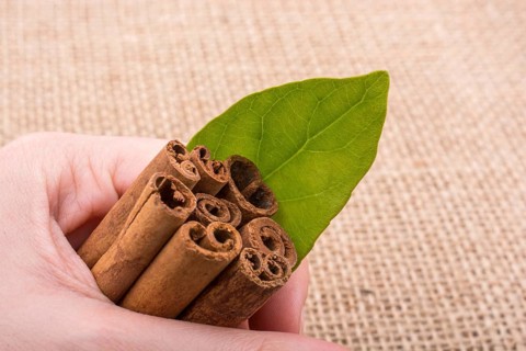 Bundle of cinnamon sticks on a linen canvas background,