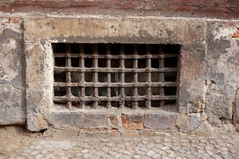 Old barred cellar window, Germany