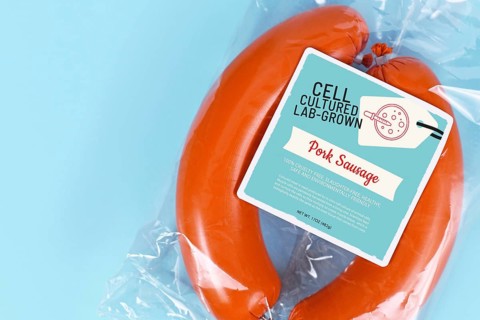 Lab grown cell cultured meat concept for artificial meat showing packed pork sausages with made up label,