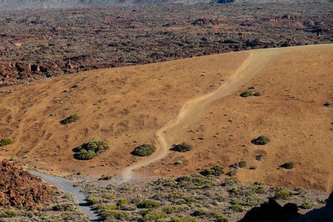 Mount Teide National Park, Tenerife