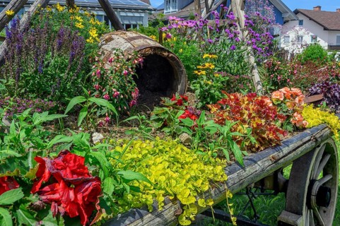 Old hay cart with flower decoration, Buchenberg