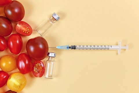 Concept for genetically modified food with tomatoes, injected syringe and empty medical vials on yellow background