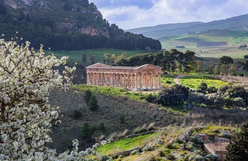 Spring landscape with the temple of Segesta, Calatafimi