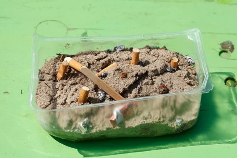 Cigarette butts in a plastic bowl as an ashtray, Germany