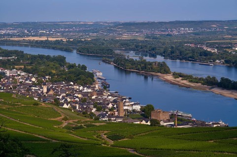 View of Ruedesheim on the Rhine, Rheingau