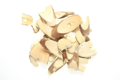 Cut twigs of the medicinal plant white mulberry,