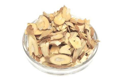 Cut twigs of the medicinal plant white mulberry,