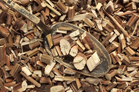 Dried herb of the medicinal plant Perilla,