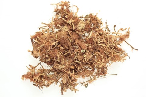 Dried blossoms of medicinal plant bastard tamarinds,