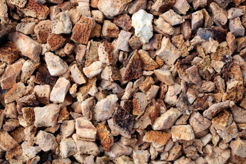 Dried orange,