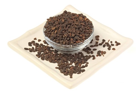 Medicinal plant Malay tea fruit, seed