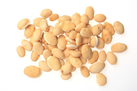 Medicinal plant climbing bean, helmet bean