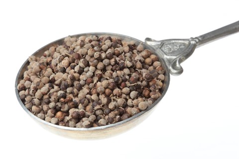 Medicinal plant Monk's pepper, Monk's pepper seeds