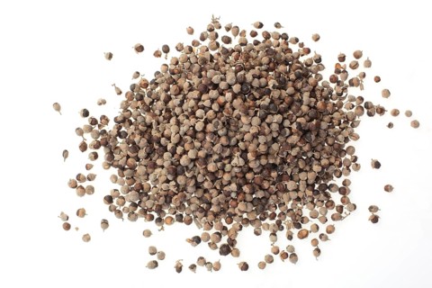 Medicinal plant Monk's pepper, Monk's pepper seeds