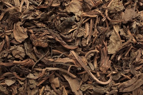 Dried leaves of the medicinal plant Chameleon plant, variegated leaf