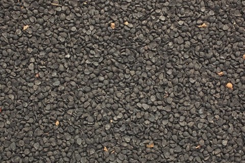 Garlic seeds, used as a kitchen spice and in natural medicine semen