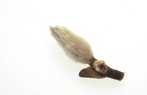 Naturopathy: dried magnolia flowers, Magnolia liliflora
