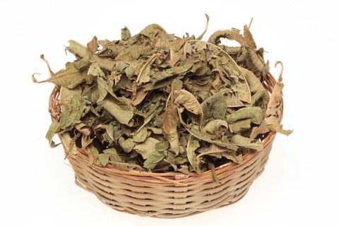 Dried leaves of the medicinal plant verbena,