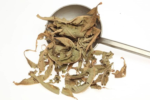 Dried leaves of the medicinal plant verbena,
