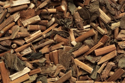 Dried herb of the medicinal plant Fortune boneset,
