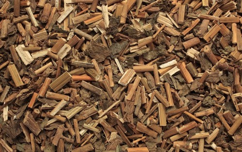 Dried herb of the medicinal plant Fortune boneset,