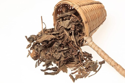 Dried herb of the medicinal plant blue dew or dyer's weed, Isatis tinctoria