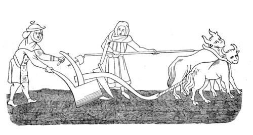 Cultivated state in the 12th century, field work ploughing with an ox team