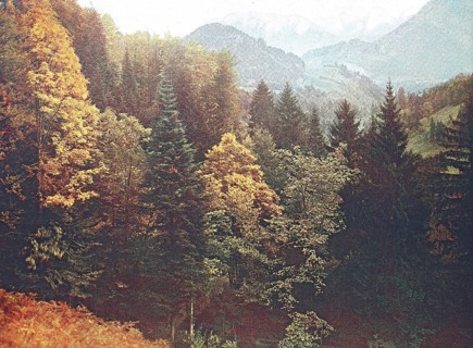 Historical photo around 1880 of the alpine region Tatzelwurm in Bavaria, Germany