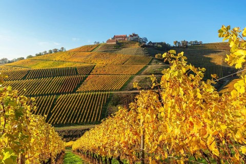 Staufenberg Castle, Durbach