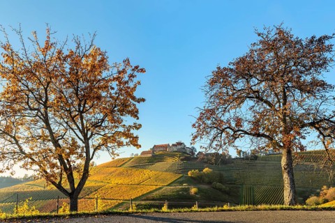 Staufenberg Castle, Durbach