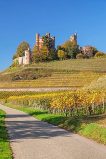 Ortenberg Castle in autumn, Offenburg