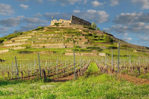 Staufen Castle, Staufen im Breisgau