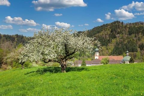 Sankt Trudpert Monastery, Muenstertal