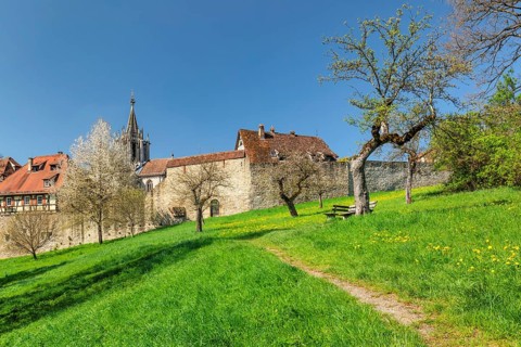 Bebenhausen Monastery near Tuebingen, Schoenbuch nature Park