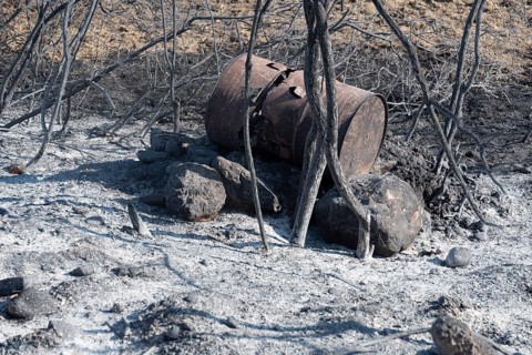 Burn marks, forest fire