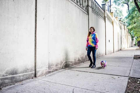 Latin woman walking her dog, both dressed alike. Grey background. Copy space